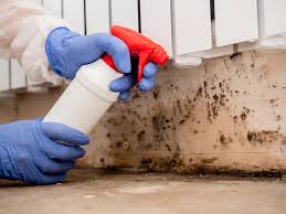 Best Residential Mold Inspection & Testing  in Owenton, KY